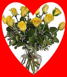 Dozen Yellow Roses